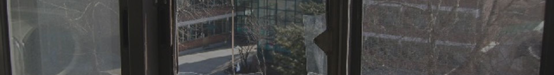 배너